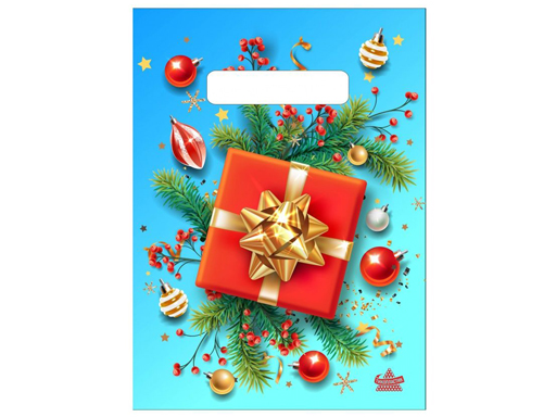 картинка Пакет 19*25см от магазина Одежда+