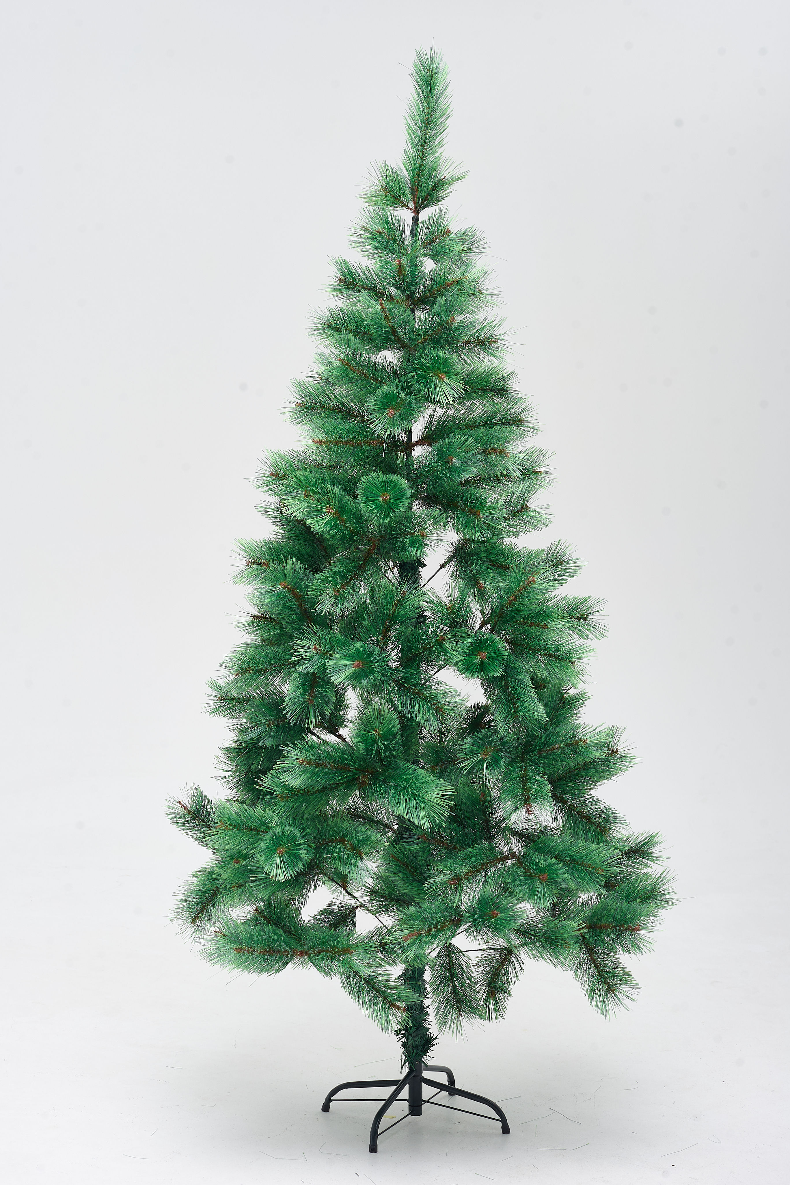 картинка Сосна, Заснеженная хвоя от магазина Одежда+