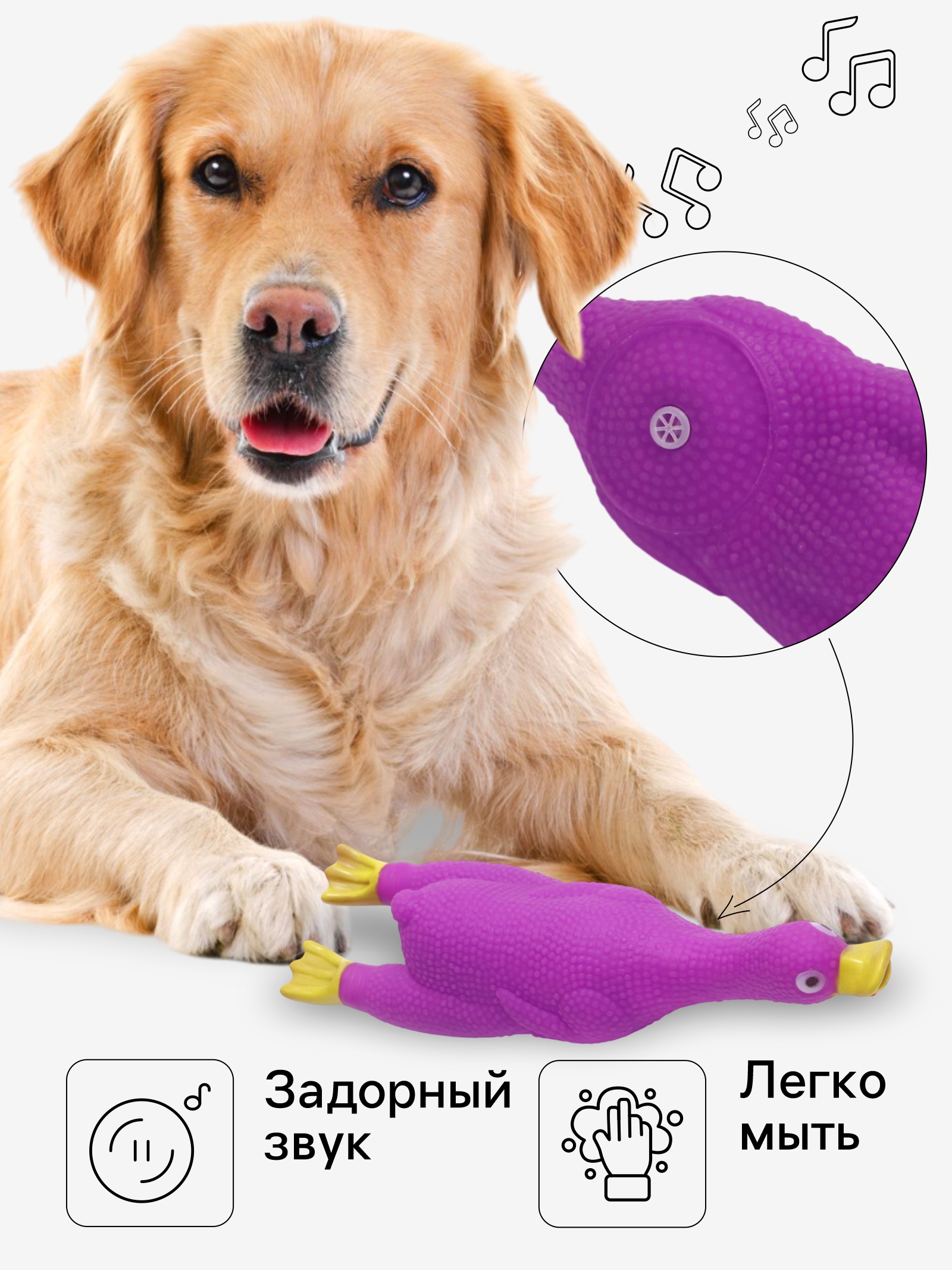 картинка Игрушка д/животных/7127482/Асс от магазина Одежда+