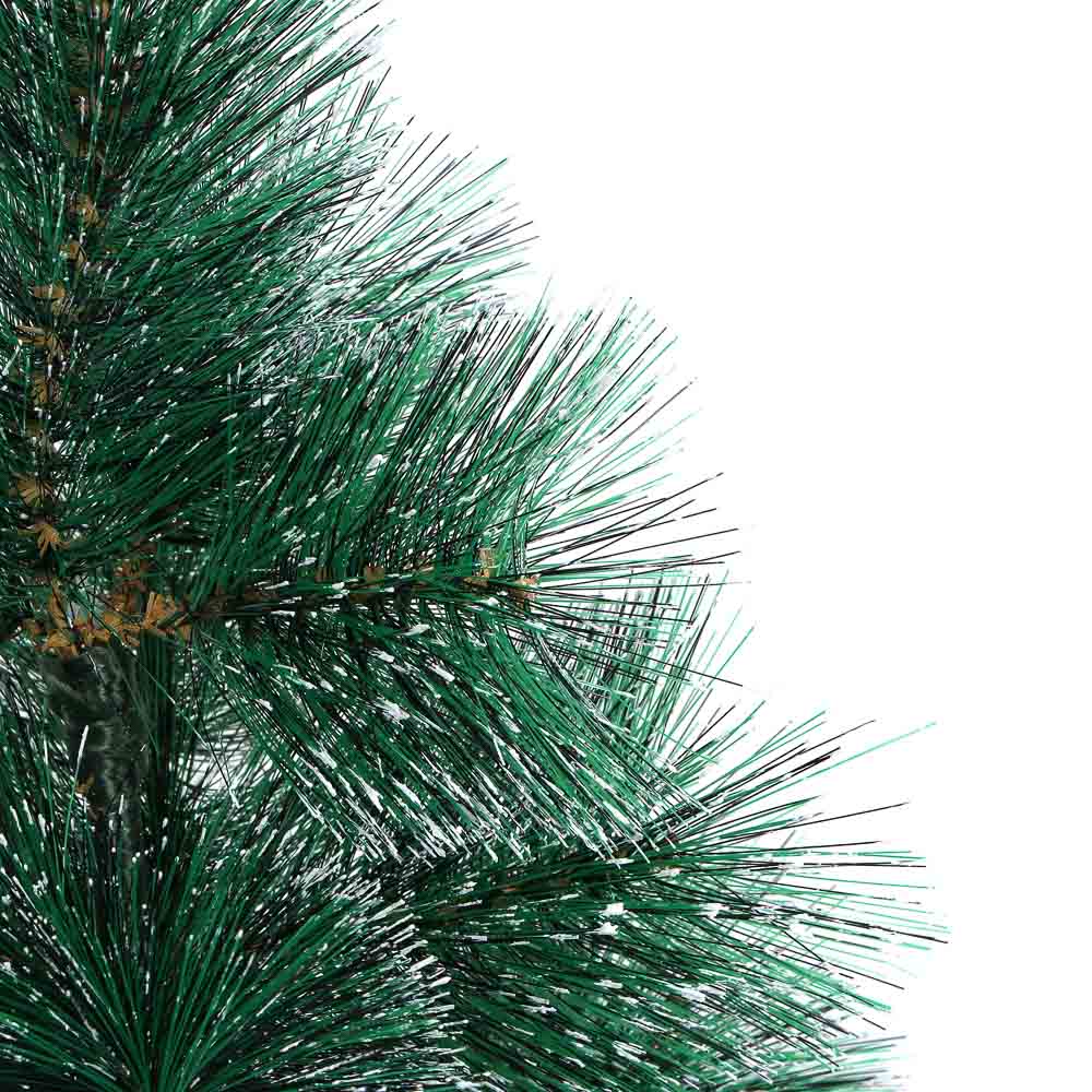 картинка Сосна, Заснеженная хвоя от магазина Одежда+