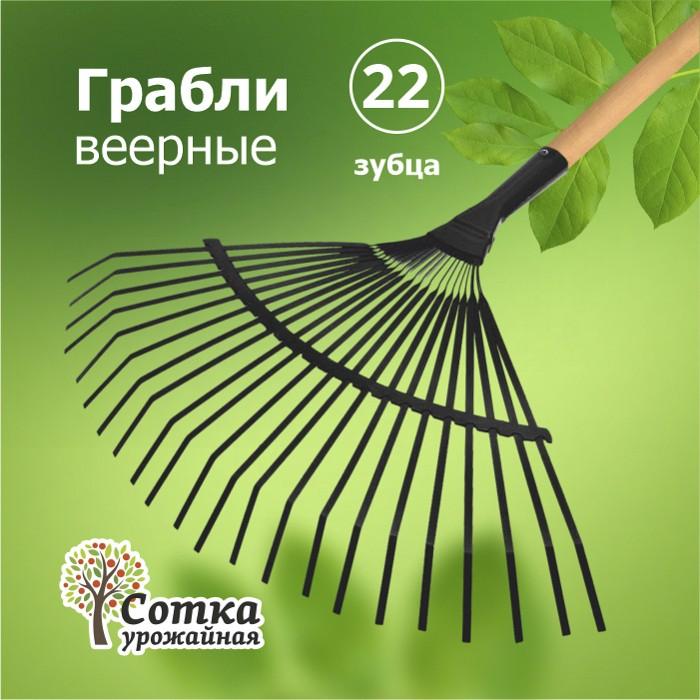 картинка Грабли Веерные 22-зубые "Урожайная сотка"/O1580 от магазина Одежда+