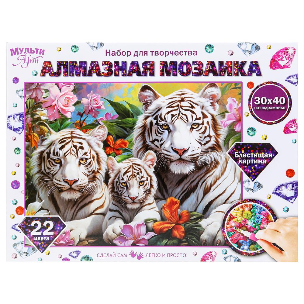 картинка Набор ДТ Алмазная мозайка 30*40/ С подрамником/AM30X40 от магазина Одежда+