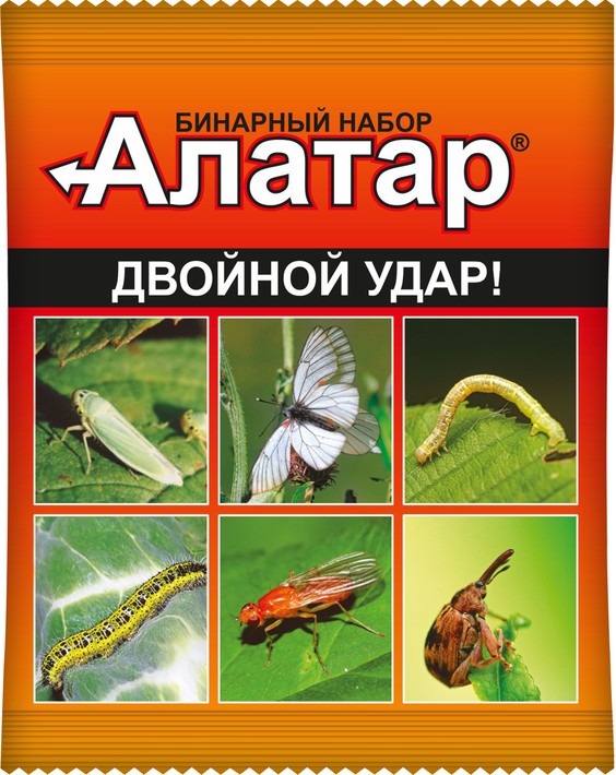 картинка Алатар двойной удар от магазина Одежда+