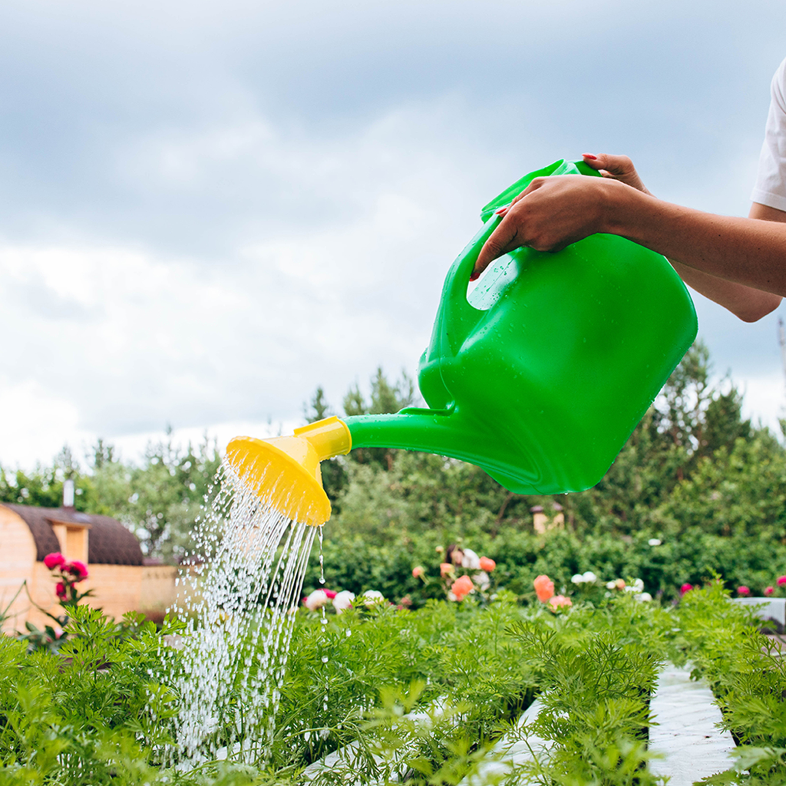 картинка Лейка 6,5 л с рассеивателем/Радиан от магазина Одежда+